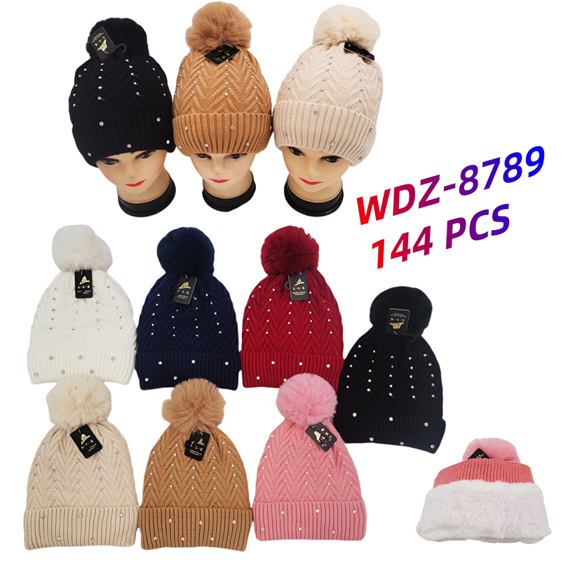 WDZ-8789 CS144